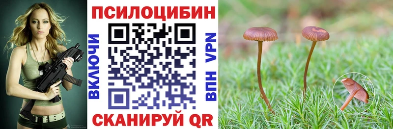 Галлюциногенные грибы мицелий  ссылка на мегу ссылки  Пушкино 